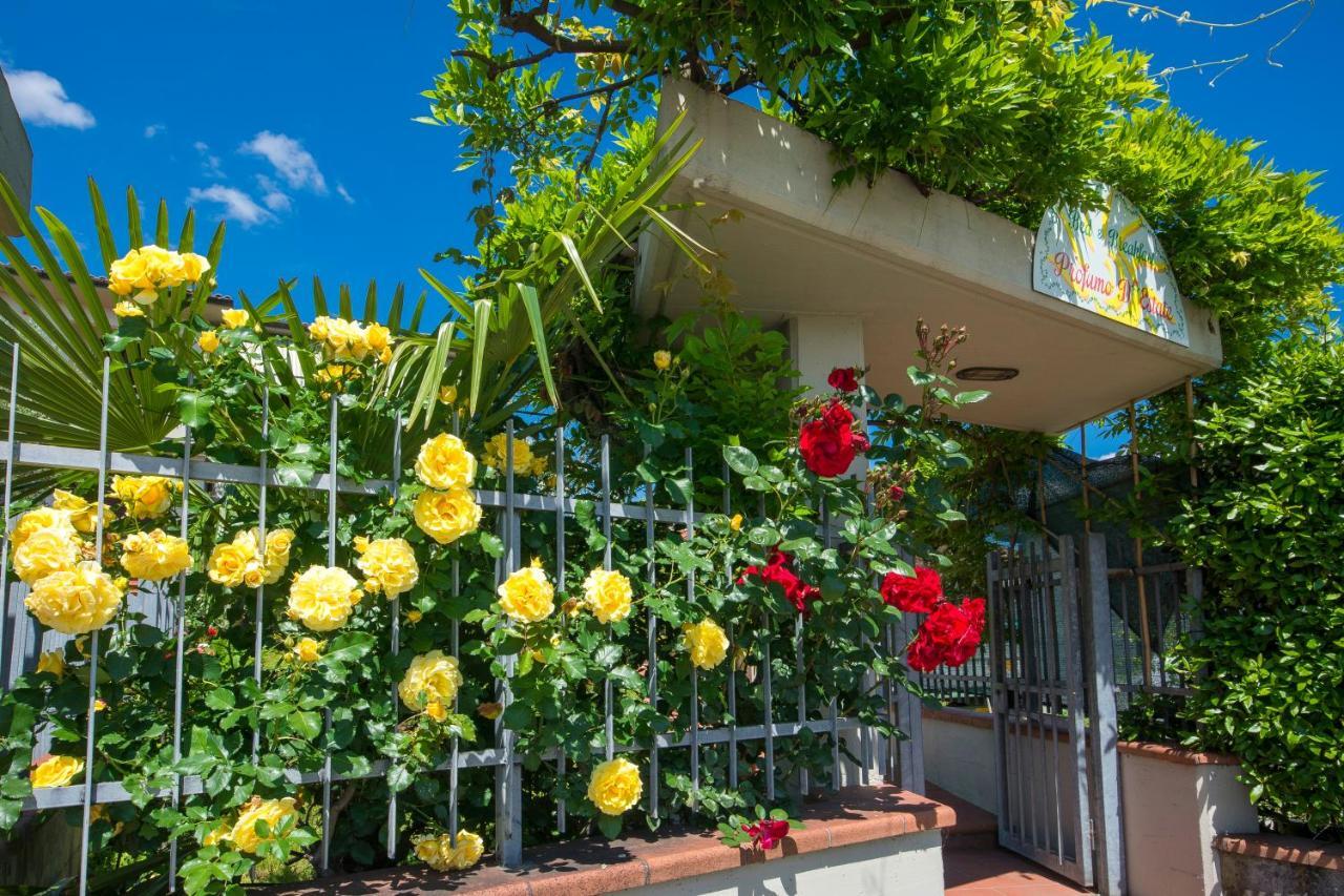 Bed & Breakfast Profumo D'Estate Agliana Ngoại thất bức ảnh