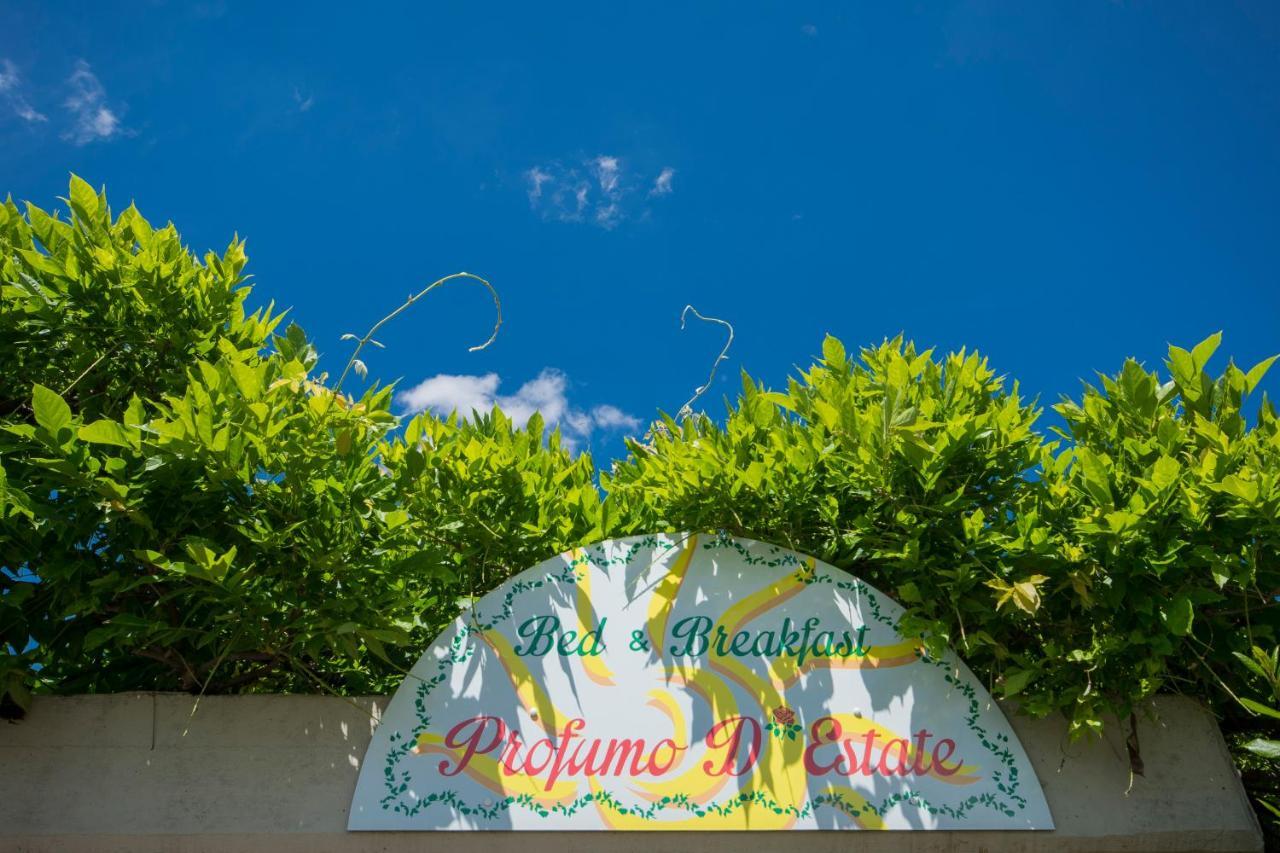 Bed & Breakfast Profumo D'Estate Agliana Ngoại thất bức ảnh